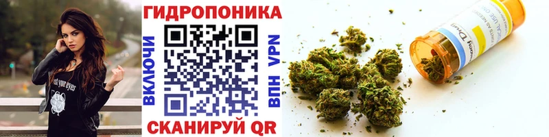 Купить наркотики Заводоуковск СК  Кокаин  Меф мяу мяу  Героин  Гашиш 