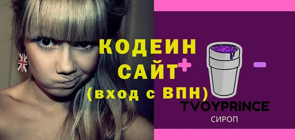 скорость Вяземский