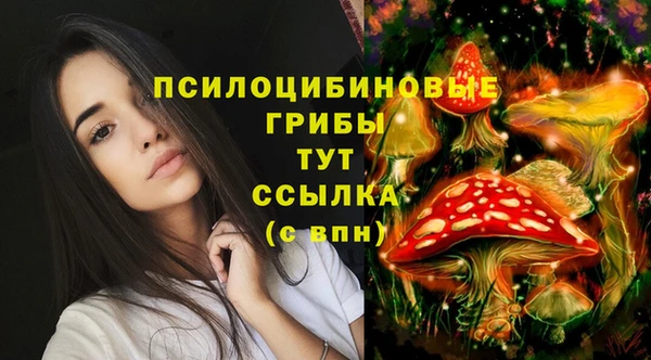 прущая мука Вязники