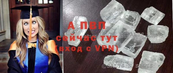 скорость Вяземский