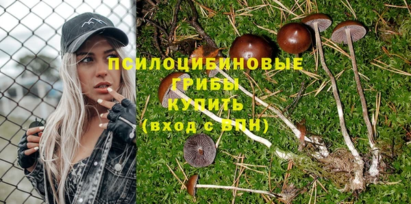 твердый Горняк