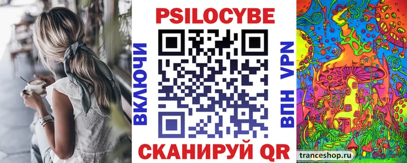 Псилоцибиновые грибы мицелий Заводоуковск